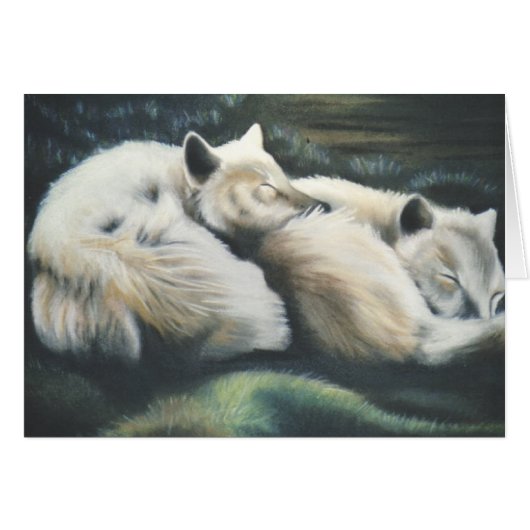"Arctic Foxes" Cards (Front Horizontal)
