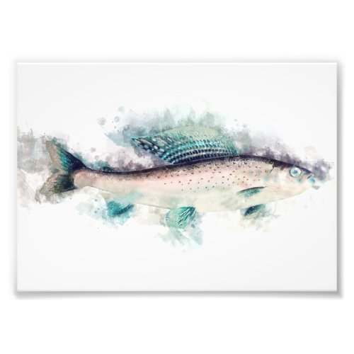 Arctic grayling Aquarelle Art Fishing Enthusiasts Photo Print