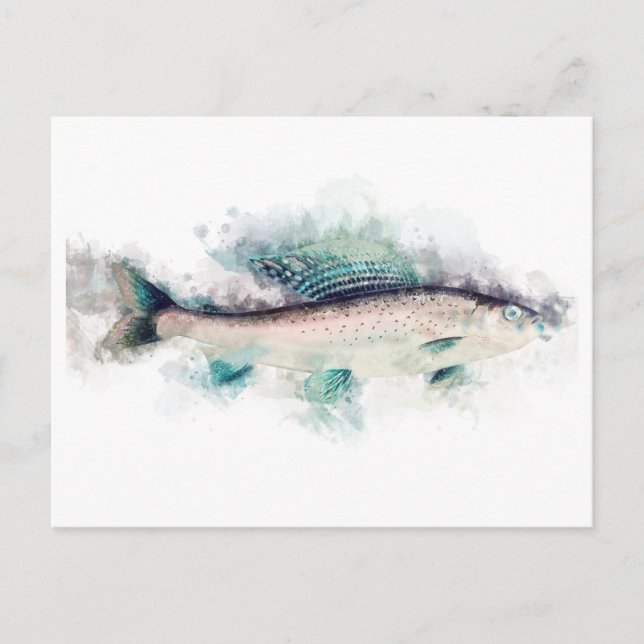 Arctic grayling (Thymallus arcticus) Salmon Art Postcard (Front)