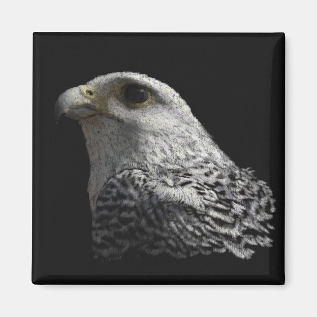 Arctic Gyrfalcon Magnet (Front)