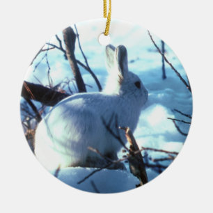 Arctic Hare in Snow Ceramic Ornament