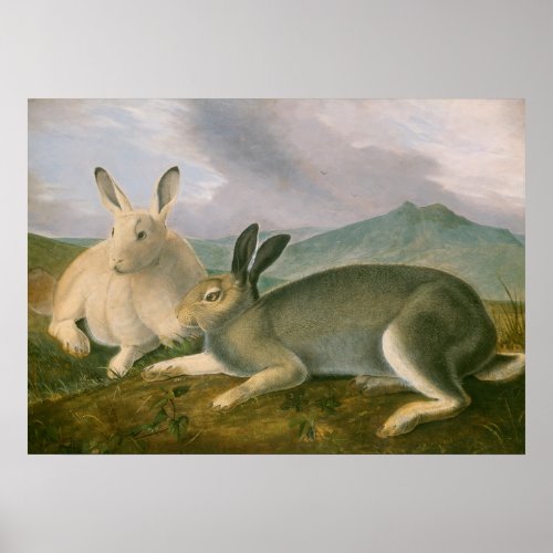 Arctic Hares Couple Landscape Watercolor Oil Poster