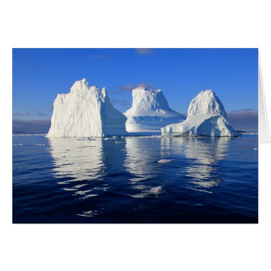 Arctic Icebergs Blue & White Blank Photo Note Card (Front Horizontal)