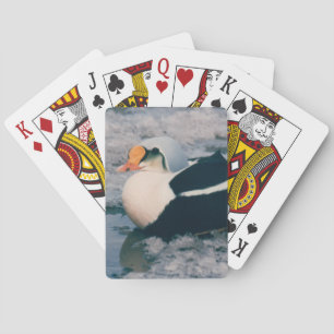 Arctic King Eider Waterfowl Bird Photo Design Deck Poker Cards