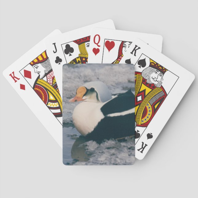Arctic King Eider Waterfowl Bird Photo Design Deck Poker Cards (Back)
