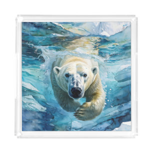 Arctic Mirage: The Swimming Monarch Acrylic Tray