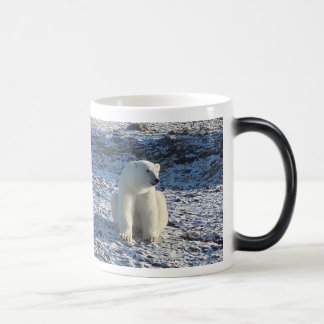 Arctic Polar Bear, Arctic Cold Color Morph Mug