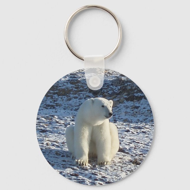 Arctic Polar Bear Keychain (Front)