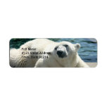 Arctic Polar Bear Return Address Label
