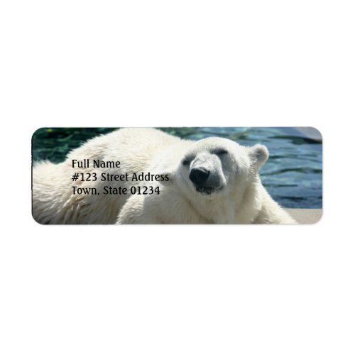 Arctic Polar Bear Return Address Label