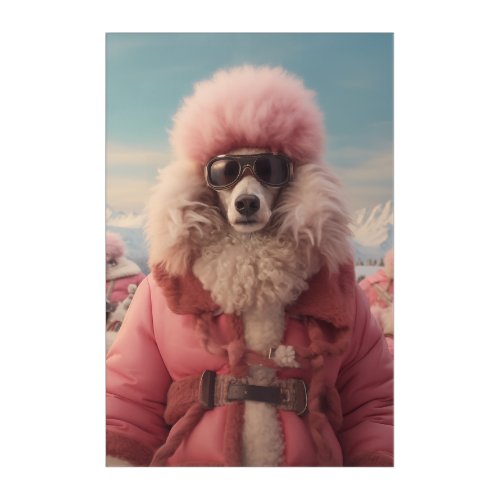 Arctic Poodle Acrylic Print