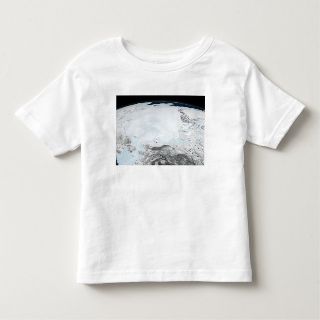 Arctic sea ice 2 toddler t-shirt (Front)