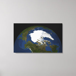 Arctic sea ice in 2005 canvas print