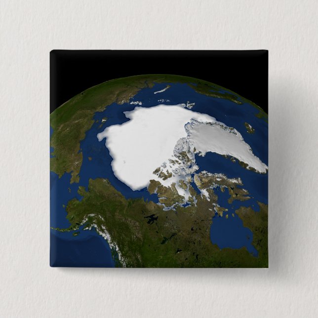 Arctic sea ice in 2005 pinback button (Front)