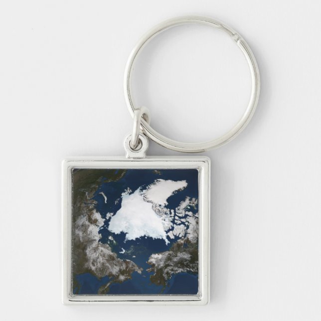 Arctic sea ice keychain (Front)