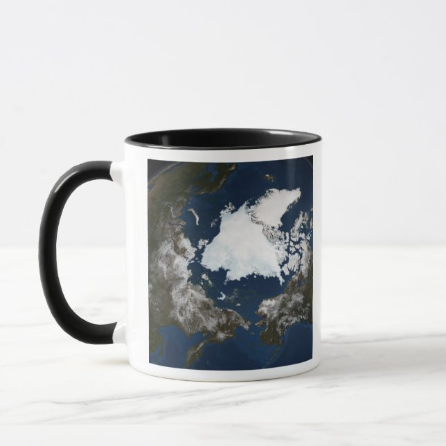 Arctic sea ice mug (Left)