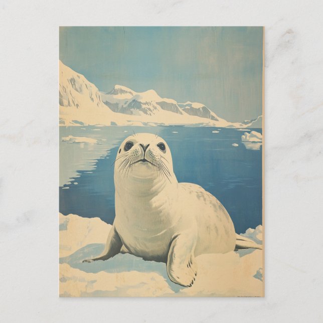 Arctic Seal vintage Postcard (Front)