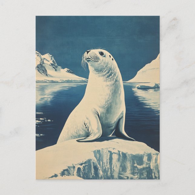 Arctic Seal vintage Postcard (Front)