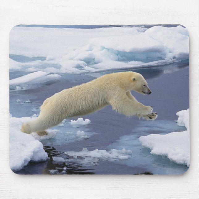 Arctic, Svalbard, Polar Bear extending Mouse Pad (Front)