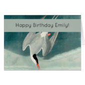Arctic Tern Audubon Bird Wildlife Painting (Front Horizontal)