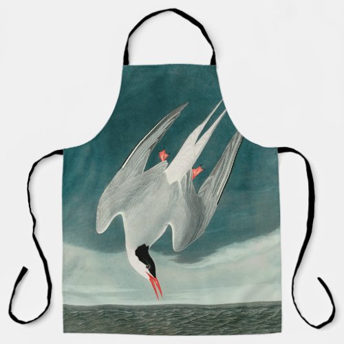 Arctic Tern Audubon Bird Wildlife Painting Apron