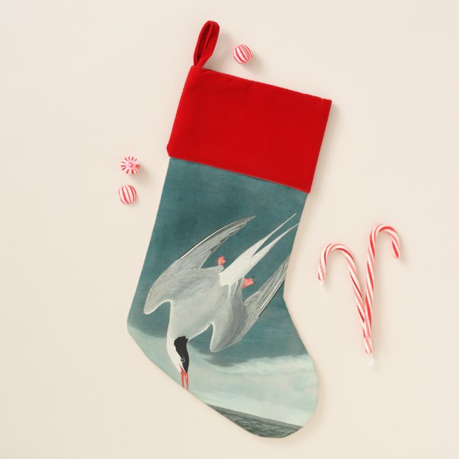 Arctic Tern Audubon Bird Wildlife Painting Christmas Stocking (Front)