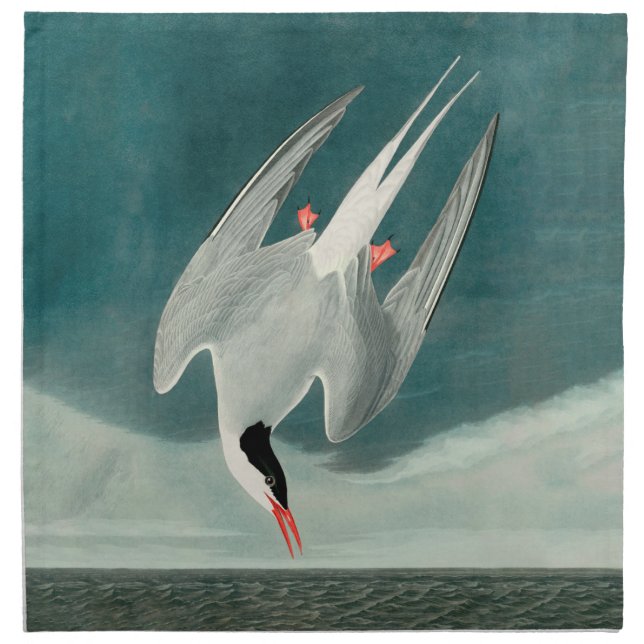 Arctic Tern Audubon Bird Wildlife Painting Cloth Napkin (Front)