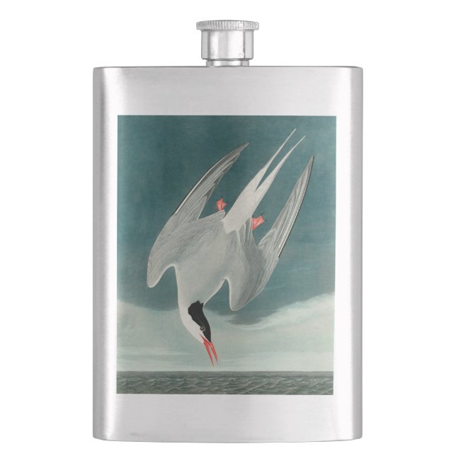 Arctic Tern Audubon Bird Wildlife Painting Flask (Front)