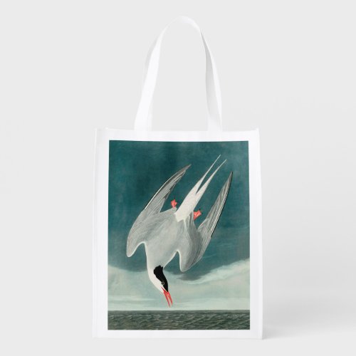 Arctic Tern Audubon Bird Wildlife Painting Grocery Bag