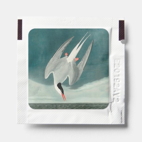Arctic Tern Audubon Bird Wildlife Painting Hand Sanitizer Packet