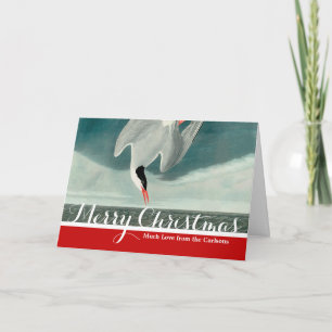 Arctic Tern Audubon Bird Wildlife Painting Holiday Card
