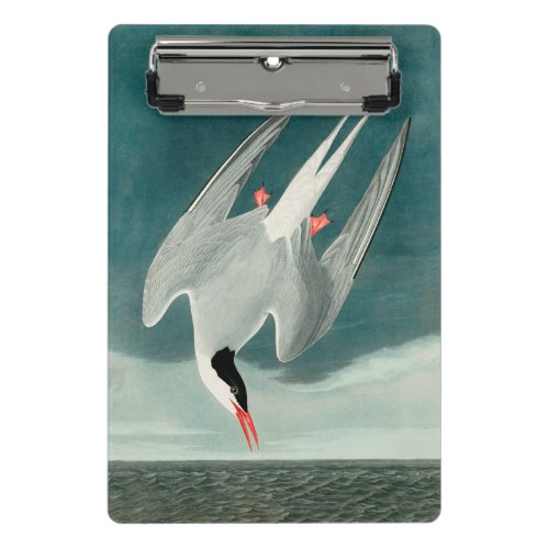 Arctic Tern Audubon Bird Wildlife Painting Mini Clipboard