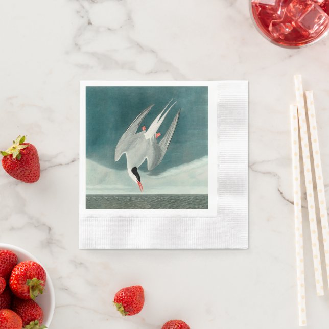 Arctic Tern Audubon Bird Wildlife Painting Napkins (Insitu)