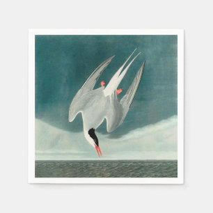 Arctic Tern Audubon Bird Wildlife Painting Napkins