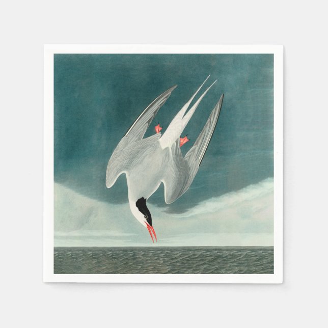 Arctic Tern Audubon Bird Wildlife Painting Napkins (Front)