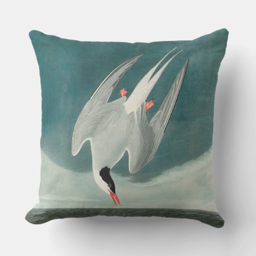 Arctic Tern Audubon Bird Wildlife Painting Outdoor Pillow