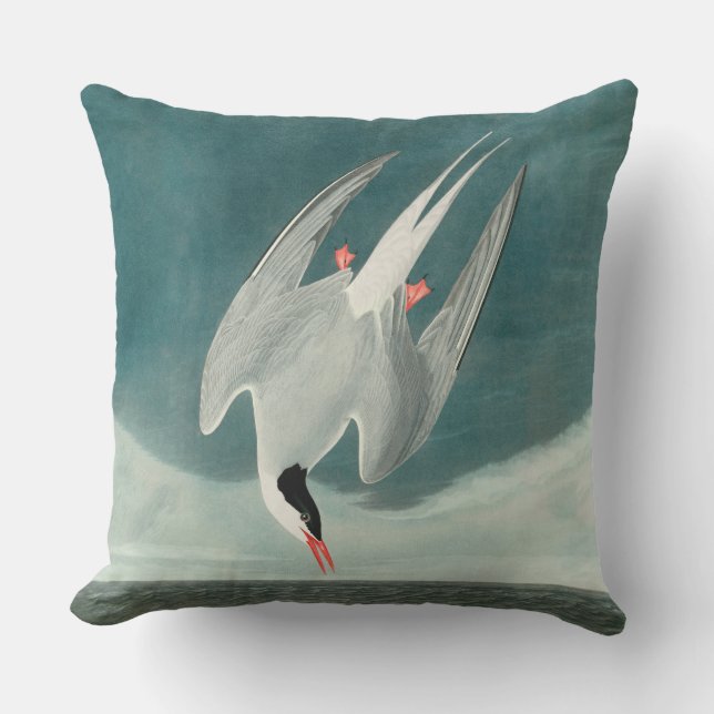 Arctic Tern Audubon Bird Wildlife Painting Outdoor Pillow (Front)
