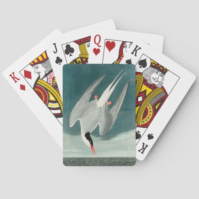 Arctic Tern Audubon Bird Wildlife Painting Poker Cards (Back)