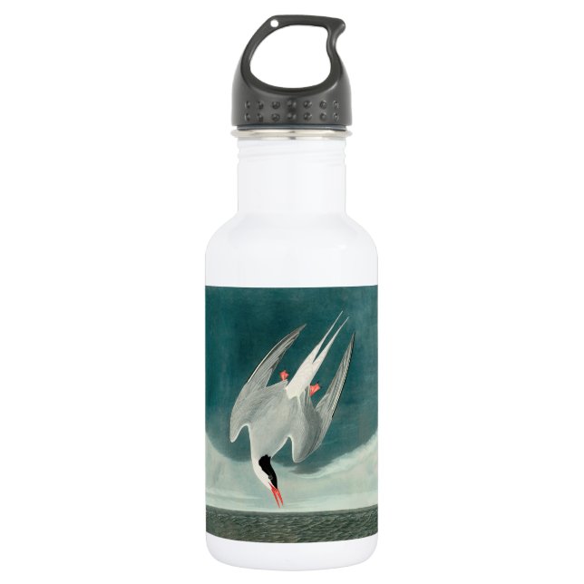 Arctic Tern Audubon Bird Wildlife Painting Stainless Steel Water Bottle (Front)