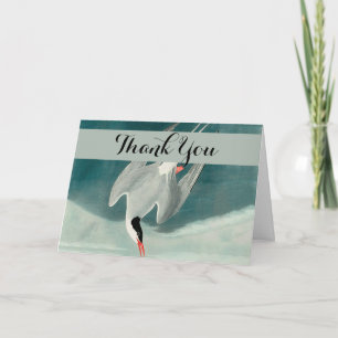 Arctic Tern Audubon Bird Wildlife Painting Thank You Card