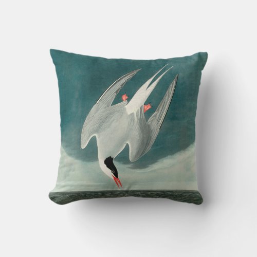 Arctic Tern Audubon Bird Wildlife Painting Throw Pillow