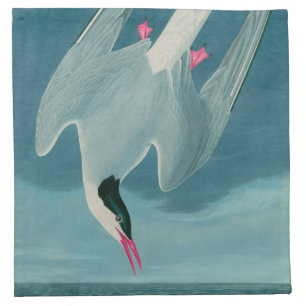 Arctic Tern Birds of America Audubon Print Cloth Napkin