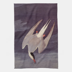 Arctic Tern by John James Audubon, Vintage Birds Kitchen Towel