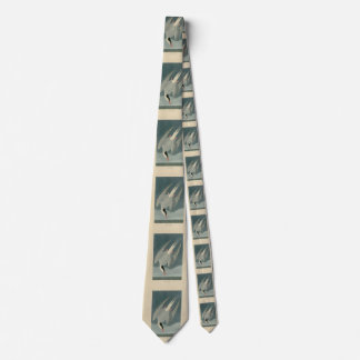 Arctic Tern from Audubon's Birds of America Neck Tie