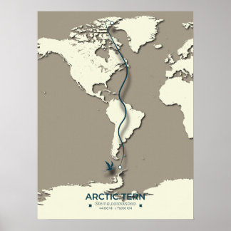 Arctic Tern Migration Map – Minimalist Vintage Poster