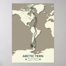 Arctic Tern Migration Map – Minimalist Vintage