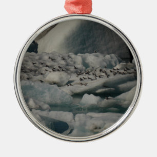 Arctic Terns Jokulsarlon Iceland Ornament