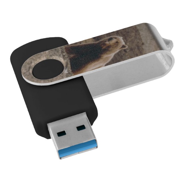 Arctic Tundra Grizzly Sow Bear Alaska Photo Print USB Flash Drive (Angled)