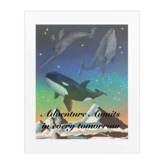 Arctic whales acrylic print