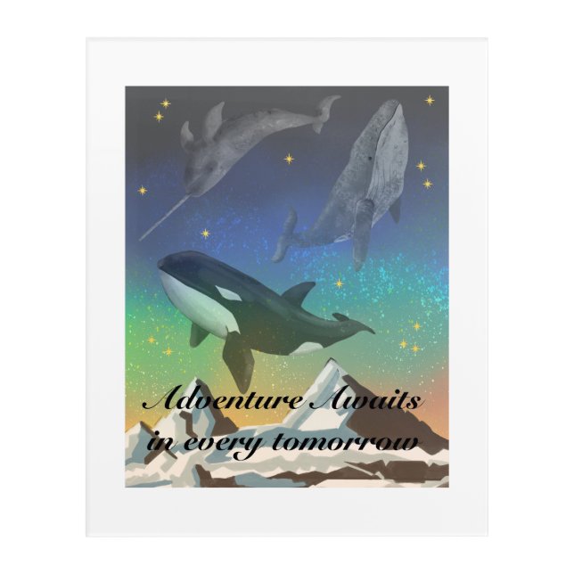 Arctic whales acrylic print (Front)